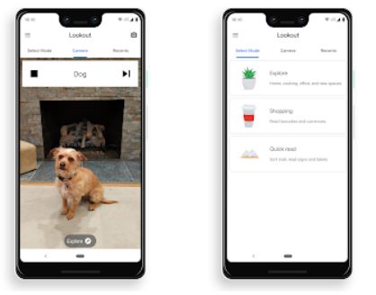Imagen de la app visualizando un perro