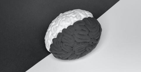Cerebro con el hemisferio pintado de negro y el otro de blanco.